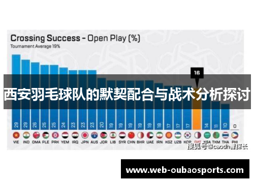 西安羽毛球队的默契配合与战术分析探讨